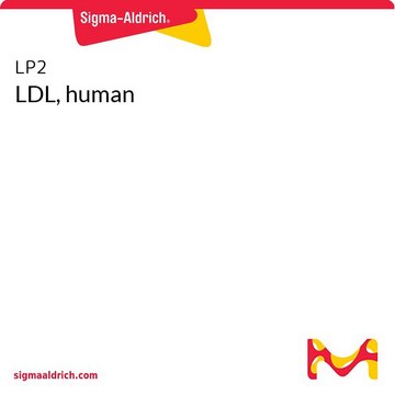 LDL, human