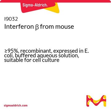 Interferon &#946; from mouse &#8805;95%, recombinant, expressed in E. coli, buffered aqueous solution, suitable for cell culture