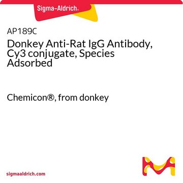 Donkey Anti-Rat IgG Antibody, Cy3 conjugate, Species Adsorbed Chemicon&#174;, from donkey