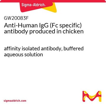 Anti-Human IgG (Fc specific) antibody produced in chicken affinity isolated antibody, buffered aqueous solution