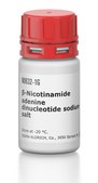 &#946;-Nicotinamide adenine dinucleotide sodium salt