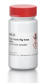 Ficin from fig tree latex lyophilized powder