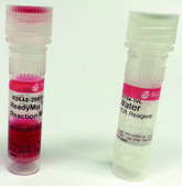 REDTaq&#174; ReadyMix&#8482; PCR Reaction Mix Complete PCR reagent with standard Taq DNA Polymerase and inert dye