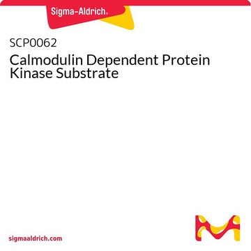 Calmodulin Dependent Protein Kinase Substrate