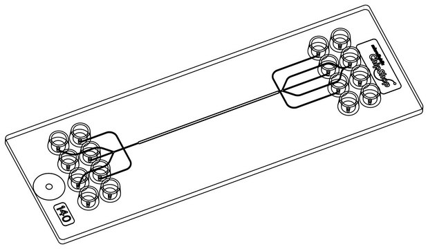 Droplet generator chip - One channel design Fluidic 163, PC