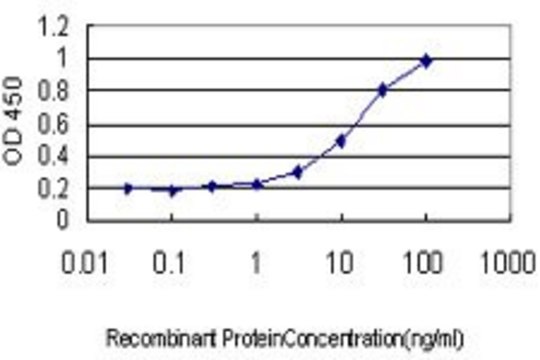 Monoclonal Anti-CAMK2B antibody produced in mouse clone S12, purified immunoglobulin, buffered aqueous solution