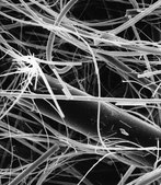 Binder Resin Glass Fiber Membrane Filter, 2.0 &#956;m Pore Size Millipore, filter diam. 90&#160;mm, hydrophilic, thickness 380&#160;&#956;m