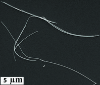 Gold nanowires diam. × L 30&#160;nm × 6,000&#160;nm, dispersion (H2O)