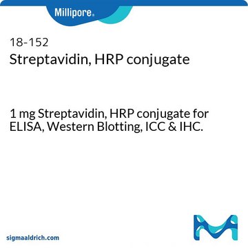 Streptavidin, HRP conjugate 1 mg Streptavidin, HRP conjugate for ELISA, Western Blotting, ICC &amp; IHC.