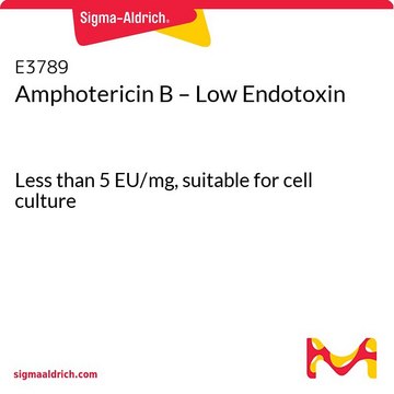 Amphotericin B – Low Endotoxin Less than 5 EU/mg, suitable for cell culture