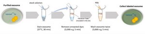 BioTracker&#8482; Far Red Exosome Protein Labeling Kit