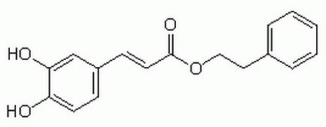 CAPE A cell-permeable active component of propolis from honeybee hives.