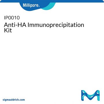 Anti-HA Immunoprecipitation Kit