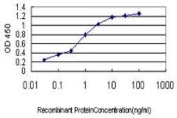 Monoclonal Anti-MAP4K4 antibody produced in mouse clone 2D4, purified immunoglobulin, buffered aqueous solution
