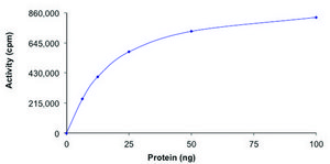 PKC-&#945;, active, GST tagged from Xanopus sp. PRECISIO&#174;, recombinant, expressed in baculovirus infected Sf9 cells, &#8805;70% (SDS-PAGE), buffered aqueous glycerol solution
