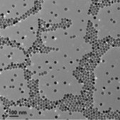 Iron oxide(II,III), magnetic nanoparticles solution 30&#160;nm avg. part. size (TEM), PEG functionalized, 1&#160;mg/mL Fe in H2O, dispersion