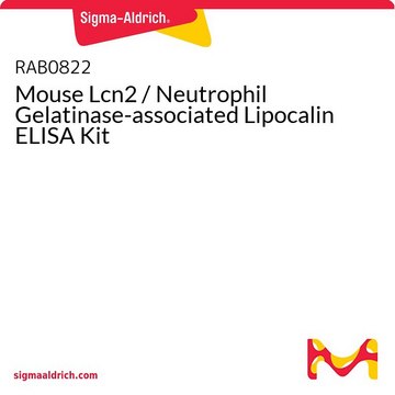 Mouse Lcn2 / Neutrophil Gelatinase-associated Lipocalin ELISA Kit