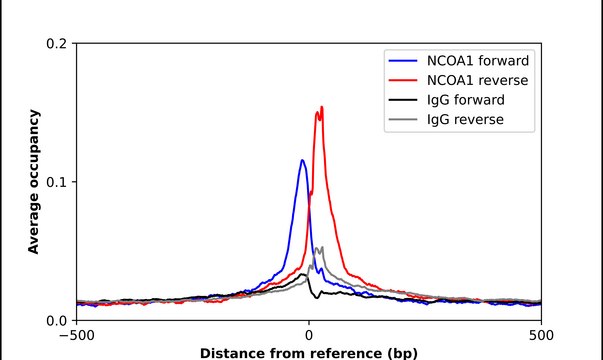 Anti-NCOA1 antibody produced in rabbit Prestige Antibodies&#174; Powered by Atlas Antibodies, affinity isolated antibody