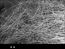 Silver nanowires diam. × L 50&#160;nm × 6&#160;&#956;m, 0.5% (isopropyl alcohol suspension)