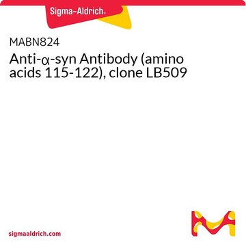 Anti-&#945;-syn Antibody (amino acids 115-122), clone LB509