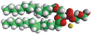 16:0-18:1 PG Avanti Research&#8482; - A Croda Brand