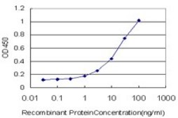 Monoclonal Anti-ADCY2 antibody produced in mouse clone 1D4, purified immunoglobulin, buffered aqueous solution