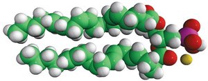 20:4 PA 1,2-diarachidonoyl-sn-glycero-3-phosphate (sodium salt), chloroform