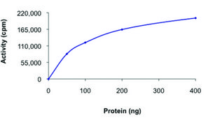 TLK2 (388-end), active, GST tagged human PRECISIO&#174; Kinase, recombinant, expressed in baculovirus infected Sf9 cells, &#8805;80% (SDS-PAGE), buffered aqueous glycerol solution
