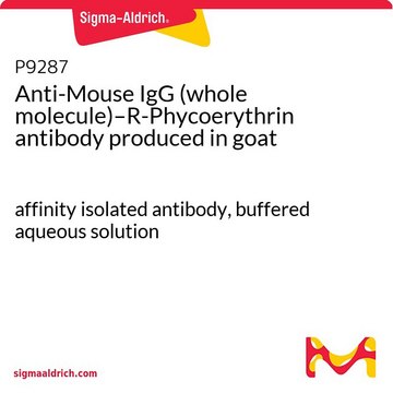 Anti-Mouse IgG (whole molecule)–R-Phycoerythrin antibody produced in goat affinity isolated antibody, buffered aqueous solution