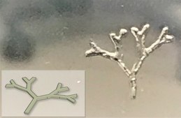 TissueFab&#174; bioink&nbsp; Alg(Gel)ma -UV/365 nm