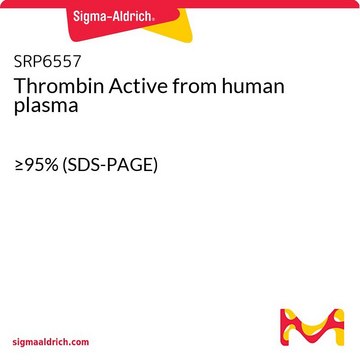 Thrombin Active from human plasma &#8805;95% (SDS-PAGE)