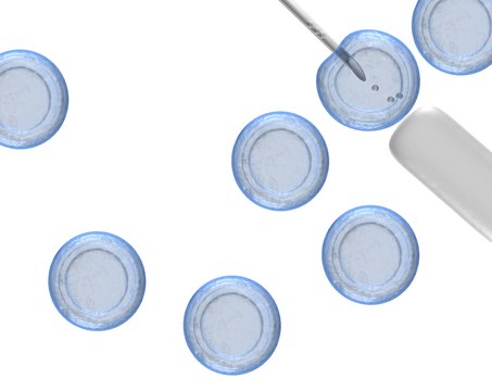 EmbryoMax&#174; Nucleosides (100X) The EmbryoMax Nucleosides (100X) is available in a 50 mL format and may be used for routine mouse embryonic stem cell culture applications.