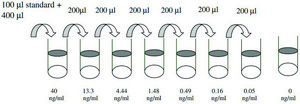 Rat MMP-8 ELISA Kit for serum, plasma, cell culture supernatant