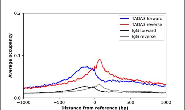 Anti-TADA3 antibody produced in rabbit Prestige Antibodies&#174; Powered by Atlas Antibodies, affinity isolated antibody, buffered aqueous glycerol solution
