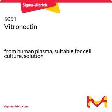 Vitronectin from human plasma, suitable for cell culture, solution