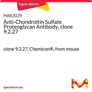 Anti-Chondroitin Sulfate Proteoglycan Antibody, clone 9.2.27 clone 9.2.27, Chemicon&#174;, from mouse