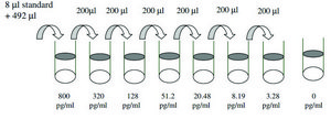 Mouse Eotaxin-2 ELISA Kit for serum, plasma and cell culture supernatant