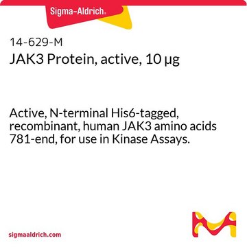 JAK3 Protein, active, 10 &#181;g Active, N-terminal His6-tagged, recombinant, human JAK3 amino acids 781-end, for use in Kinase Assays.