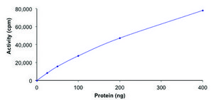 c-KIT (D820E), active, GST tagged human PRECISIO&#174;, recombinant, expressed in baculovirus infected Sf9 cells, &#8805;70% (SDS-PAGE), buffered aqueous glycerol solution