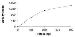 ROR1, Active PRECISIO&#174; Kinase, recombinant