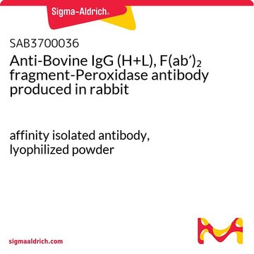 Anti-Bovine IgG (H+L), F(ab&#8242;)2 fragment-Peroxidase antibody produced in rabbit affinity isolated antibody, lyophilized powder