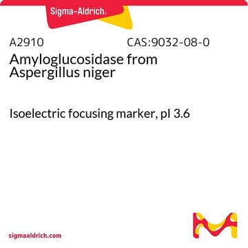 Amyloglucosidase from Aspergillus niger Isoelectric focusing marker, pI&#160;3.6