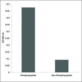 Anti-phospho-NFAT5/TonEBP (pSer155) antibody produced in rabbit affinity isolated antibody