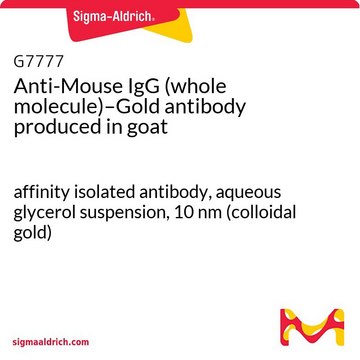 Anti-Mouse IgG (whole molecule)–Gold antibody produced in goat affinity isolated antibody, aqueous glycerol suspension, 10&#160;nm (colloidal gold)