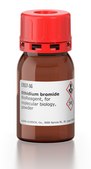 Ethidium bromide BioReagent, powder