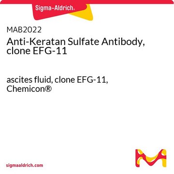 Anti-Keratan Sulfate Antibody, clone EFG-11 ascites fluid, clone EFG-11, Chemicon&#174;