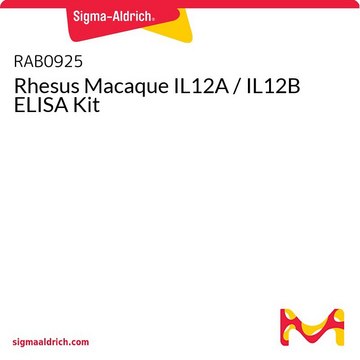 Rhesus Macaque IL12A / IL12B ELISA Kit