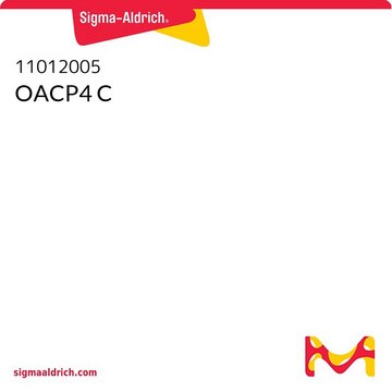 OACP4 C NOTE: Both the cell line and DNA from the cell line may be available for this product. Please choose -1VL or VIAL for cells, or -DNA-5UG for DNA, human gastric cardia, pleiomorphic: epithelial and fibroblastoid cells, cytoplasmic protrusions