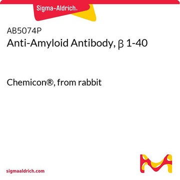 Anti-Amyloid Antibody, &#946; 1-40 Chemicon&#174;, from rabbit