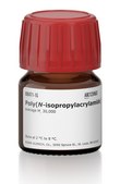 Poly(N-isopropylacrylamide) average Mn 30,000